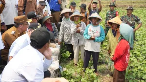 Aturan Baru! Buruh Tani Kini Bisa Dapat Bantuan Traktor dan Alsintan dari Kementan