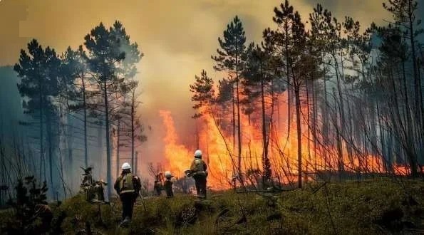 BNPB: Karhutla di Magetan dan Jombang Berhasil Dipadamkan