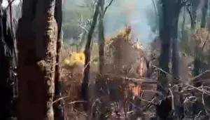 Cianjur Tingkatkan Kesiapsiagaan Cegah Karhutla Kawasan Gunung Gede-Pangrango