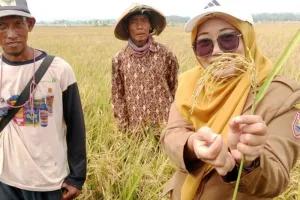 Dukung Swasembada Pangan, B...