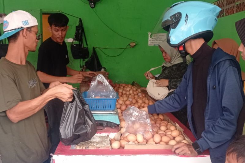 Harga Telur Ayam di Lebak Turun Lagi Jadi Rp23.000 per Kg 