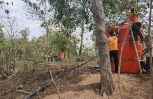 Kemensos Petakan Stimulus Ekonomi Antisipasi El Nino