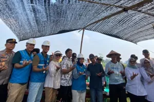 PLN Nyalakan Listrik untuk Irigasi Sawah di Lampung Timur, Petani Makin Produktif.