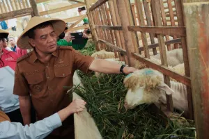 Revola Jateng Gebrak Lahan Tidur, Pertanian Terpadu Jadi Andalan
