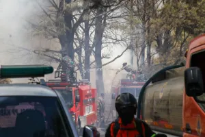 540 Petugas Dikerahkan untuk Memperkuat Penanganan Karhutla TNBTS