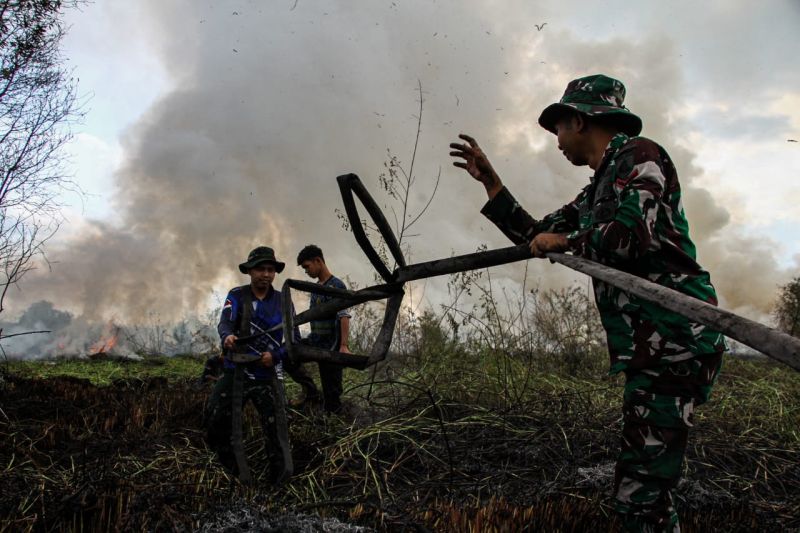 BNPB Nyatakan Kebakaran di Gunung Picung Cianjur Sudah Terkendali
