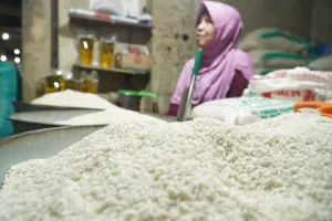 Bongkar! Beras Fortifikasi Palsu Dijual Rp42.000, Harga Dinaikkan 300 Persen