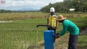 El Nino Melanda, Puluhan Hektare Sawah di Banjar Selamat Berkat JIAT