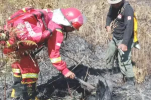 Kebakaran di Camp Area Pelawangan Sembalun Gunung Rinjani Berhasil Dipadamkan