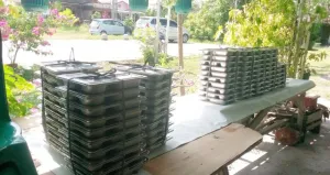 Label Batas Konsumsi Menu MBG Mulai Diterapkan SPPG Belitung