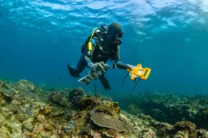 Laut Makin Panas, Ancaman Baru Mengintai Manusia hingga Kesehatan Mental Anak