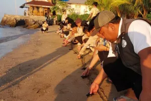 Pelestarian Satwa, BTN Bunaken Lepas Liar 81 Ekor Tukik Jenis Penyu Hijau