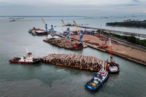 Pelindo Multi Terminal Catat Arus Barang Capai 59,59 Juta Ton di Semester I 2026