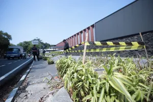 Pemkot Bandung Selidiki Penebangan 35 Pohon di Empat Lokasi