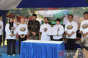 Penyakit Bangkalan Ancam Buah Durian, Pemprov Sulteng Gandeng Unisa Palu.