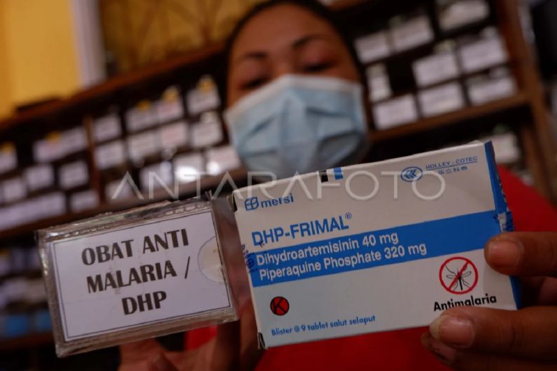 Cegah Penularan, Dinkes Kaltim Petakan Daerah Endemis Tin...