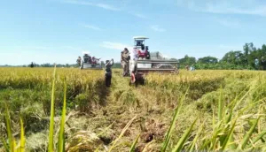 Purwakarta Atasi Lahan Sawah yang Terancam Kekeringan dengan Pompa