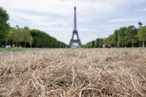 Ekonomi Prancis Ambyar, Gelombang Panas Picu Kerugian Fantastis 15 Miliar Euro