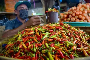 PIHPS: Harga Cabai Rawit Hari ini Rp61.250/Kg, Telur Ayam Rp27.050/Kg