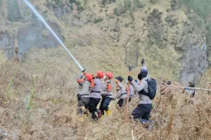 Kebakaran di Gunung Bromo Dapat Dikendalikan