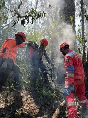 Terjang Medan Ekstrem dan Mobil Terperosok, Damkar Surabaya Ikut Diterjunkan Padamkan Api Bromo