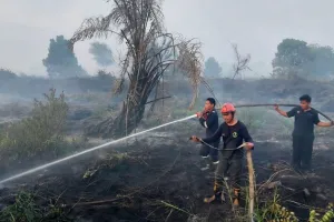 BPBD Kalimantan Utara Perkuat Kesiapsiagaan Hadapi Potensi Kebakaran Hutan dan Lahan