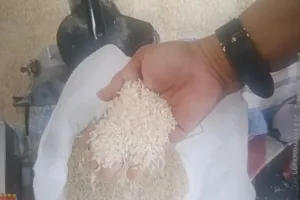 Pemkab Agam bersama Perum Bulog Mengecek Kualitas Beras Bantuan Bapanas sebelum Disalurkan 