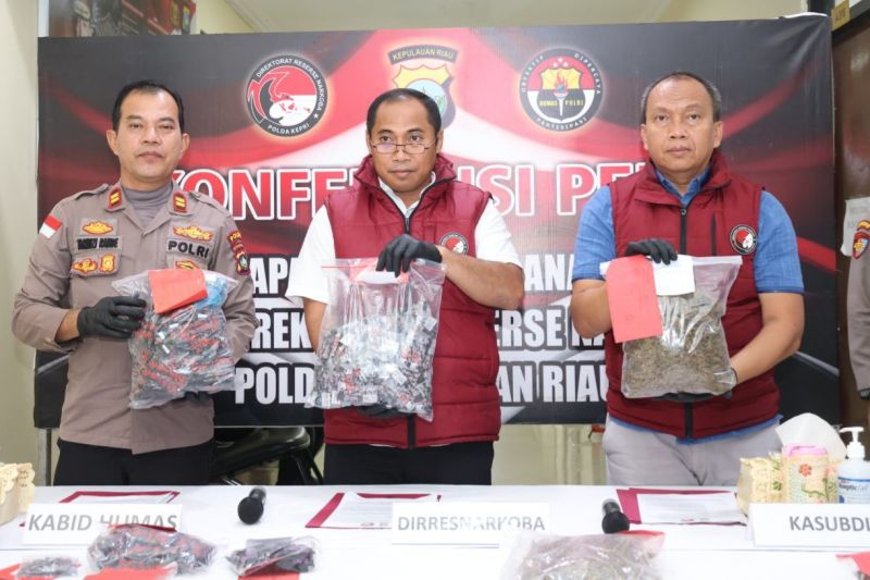 Polda Kepri Gagalkan Puluhan Kasus Narkotika, Barang Bukt...