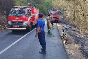 Si Jago Merah Mengamuk! 12 Hektare Perkebunan Jati Gunung Geger Terbakar