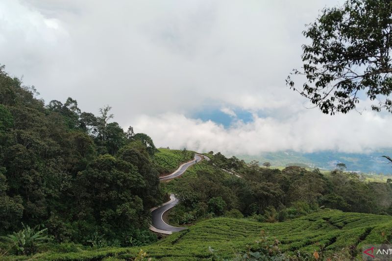 Wow Bikin Merinding! Merah Putih Raksasa 2.026 Meter Akan...