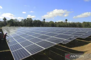 Energi Surya Harus Jadi Andalan! IESR Ungkap Pentingnya Pembangunan PLTS