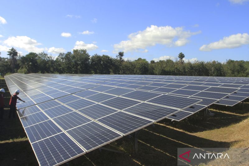 Energi Surya Harus Jadi Andalan! IESR Ungkap Pentingnya P...
