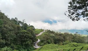 Merah Putih Sepanjang 2.026 Meter bakal Dibentangkan di Gunung Dempo
