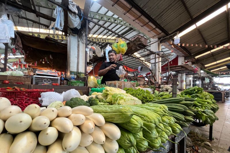 Produksi dan Harga Sayuran di Pontianak Mualai Terdampak Kemarau