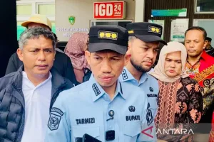 Bikin Kaget! Kenapa Bupati Aceh Barat Larang Lomba Panjat Pinang Saat HUT ke-81 RI?