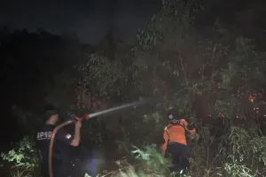 BPBD: Karhutla Empat Hektare di Muara Enim Berhasil Dipadamkan