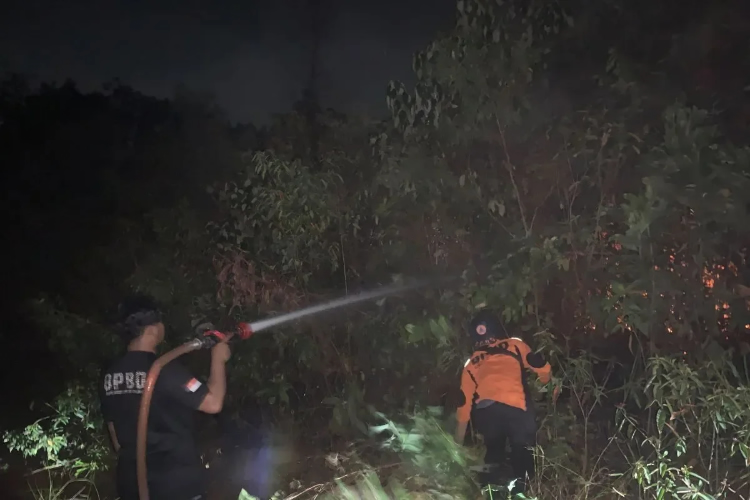 BPBD: Karhutla Empat Hektare di Muara Enim Berhasil Dipad...