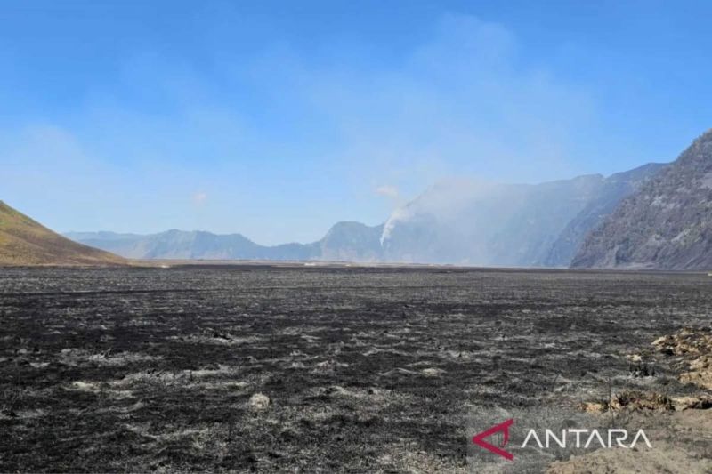 Bromo dalam Pantauan! Tim Gabungan Siaga Jika Titik Asap ...
