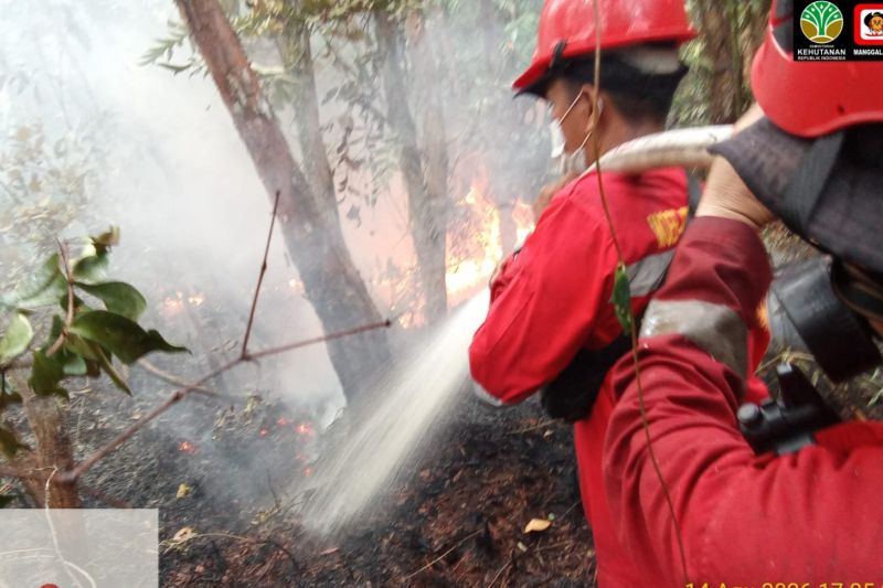 Karhutla Melanda Hutan Lindung Bangka, Manggala Agni Bergerak Padamkan Api.