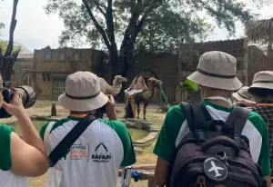Taman Safari Kembali Gelar Kompetisi Fotografi dan Video Satwa IAPVC, Tahun Ini Ada Dua Kategori Baru!