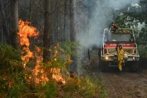 Belgia 'Gosong', Kebakaran Hutan Lahap 3.000 Hektare Lahan