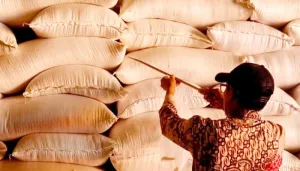 Hadirkan Senyum Warga Mahulu di Tengah Bencana Kekeringan, Pemprov Kaltim Salurkan Bapokting saat HUT RI