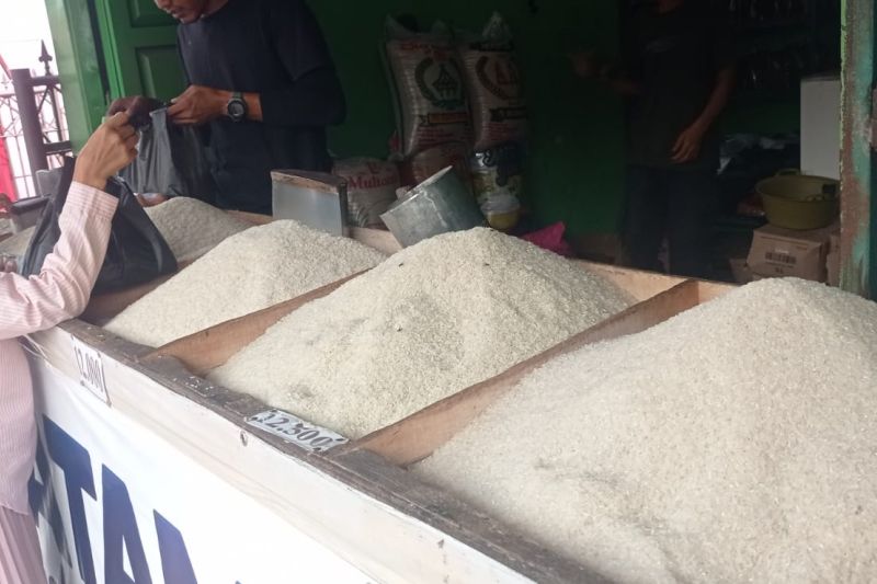 Harga Beras Kualitas Medium di Lebak dalam Dua Bulan Terakhir Relatif Stabil ‎