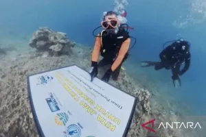 Menjaga Kelestarian dengan Menanam Puluhan Fragmen Karang di Pulau Miang
