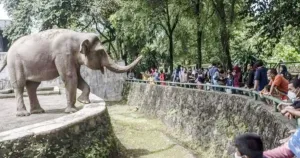 Pengunjung Ragunan pada HUT ke-81 RI Diprediksi Sebanyak 30 Ribu Orang