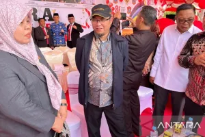 Hilirisasi Ternak Ayam Dinilai Buka Peluang Ekonomi Besar di Gorontalo Utara.