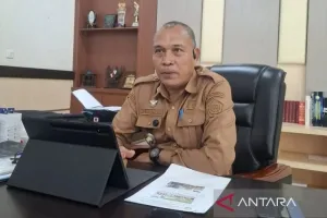 HUT RI Bawa Kabar Baik! Sultra Beri Insentif Penurunan Tarif Pajak Kendaraan Lama