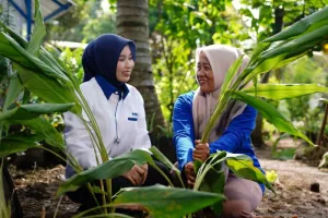 Modal UMKM Makin Ringan? Pemerintah Pacu Bunga PNM Mekaar 8 Persen