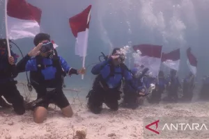 Momen Spektakuler HUT RI, Merah Putih Berkibar di Bawah Laut Maratua
