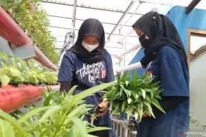 Pemkot Administrasi Jakarta Selatan Bidik Generasi Muda Karang Taruna Jadi Mitra Strategis
